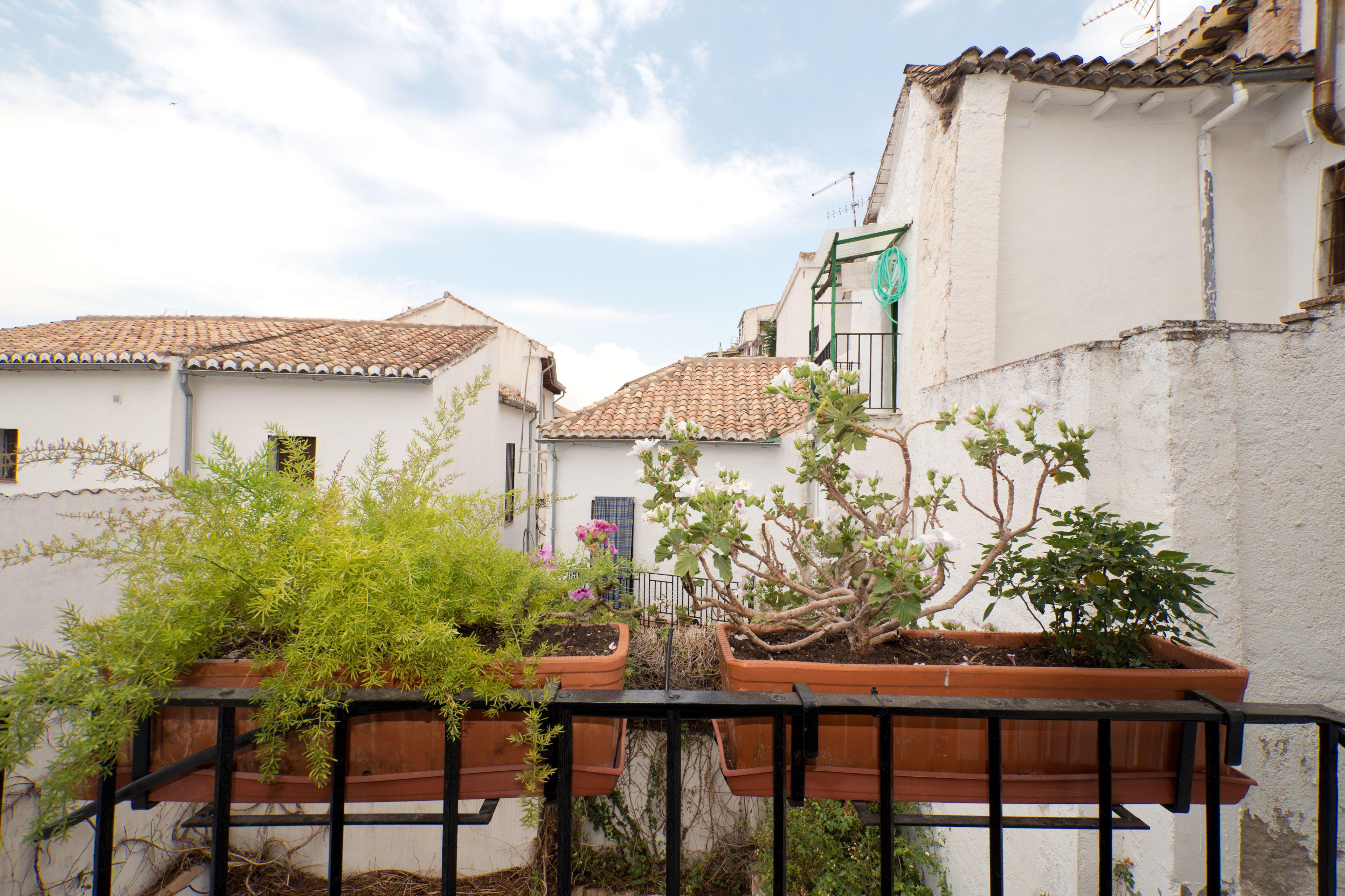 Oasis Backpackers' Hostel Granada — Photos 2